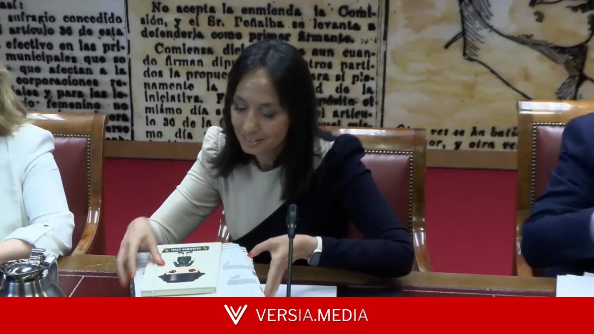 La Fiscalía cree que el PSOE financió a la trama de Leire Díez para tumbar causas judiciales