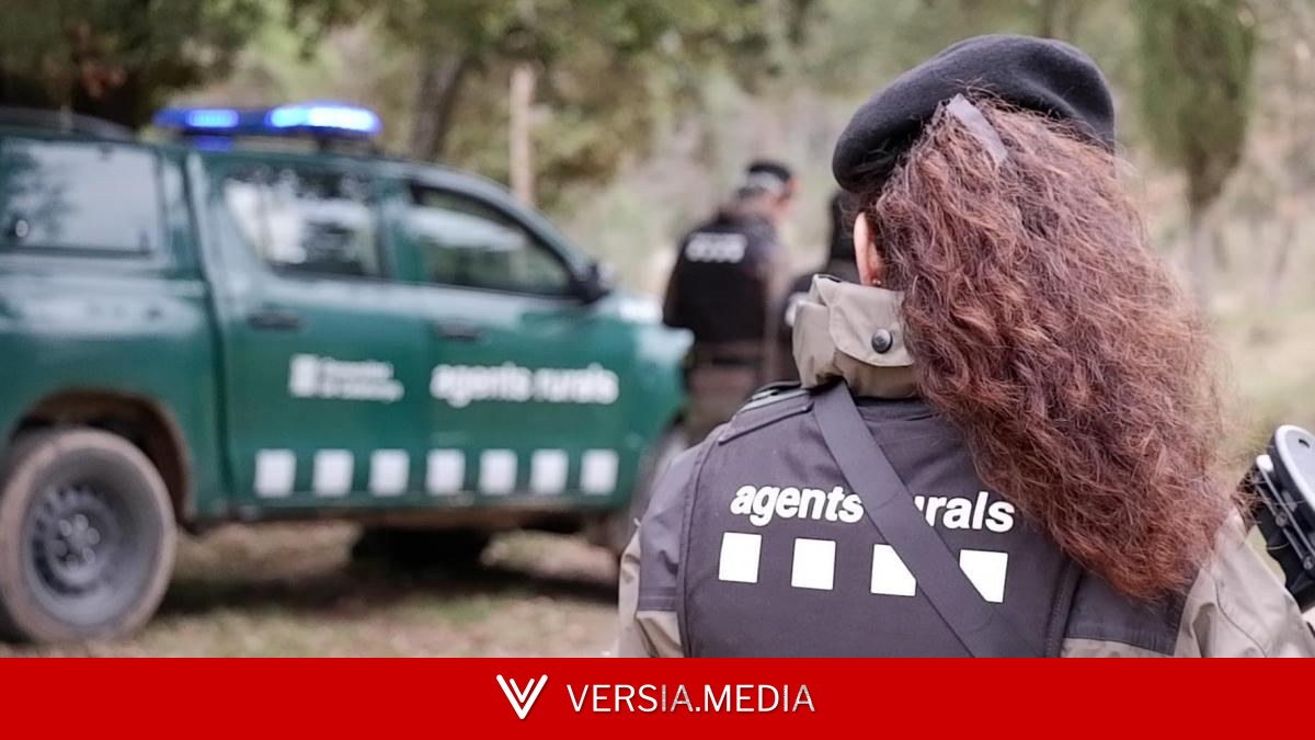 Más inversión y más efectivos para reforzar la seguridad en Catalunya