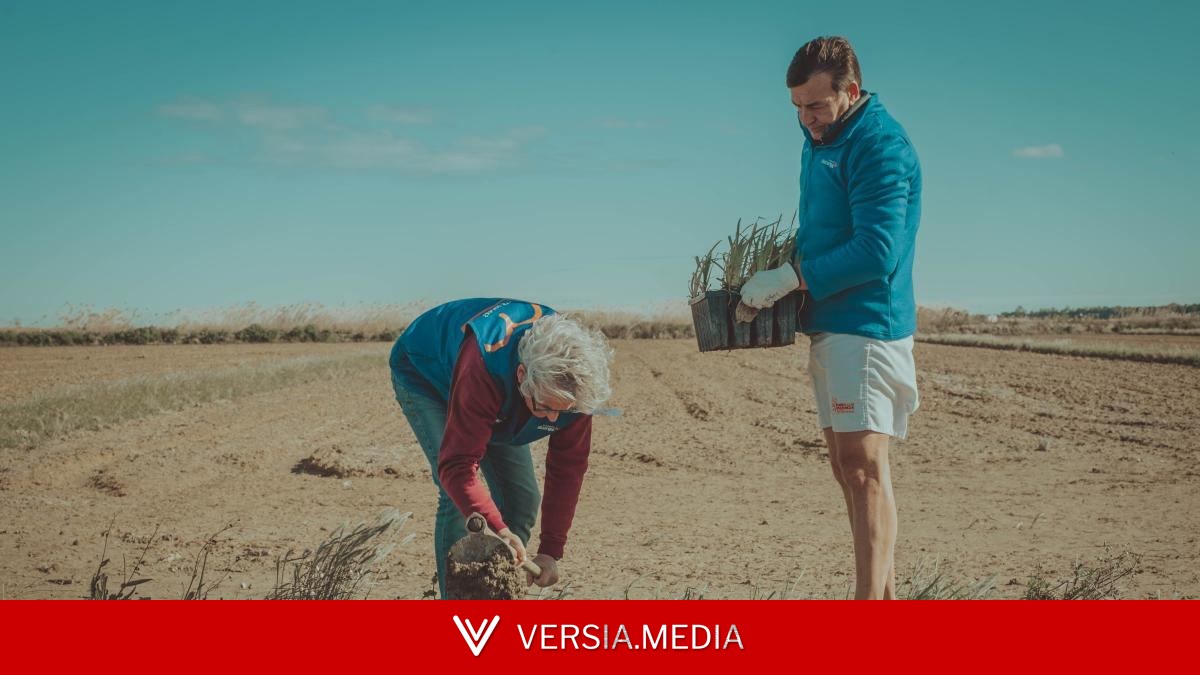 Restaurar la Albufera de Valencia tras la DANA: la fuerza de una red de voluntarios