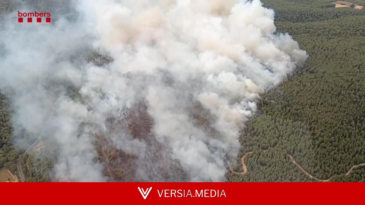 El incendio en Aiguamúrcia habría sido provocado