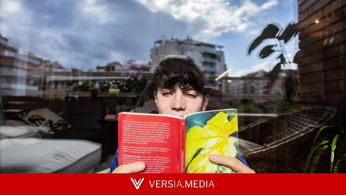 “El Quijote es demasiado largo”, cómo recuperar la educación literaria entre TikTok y ChatGPT