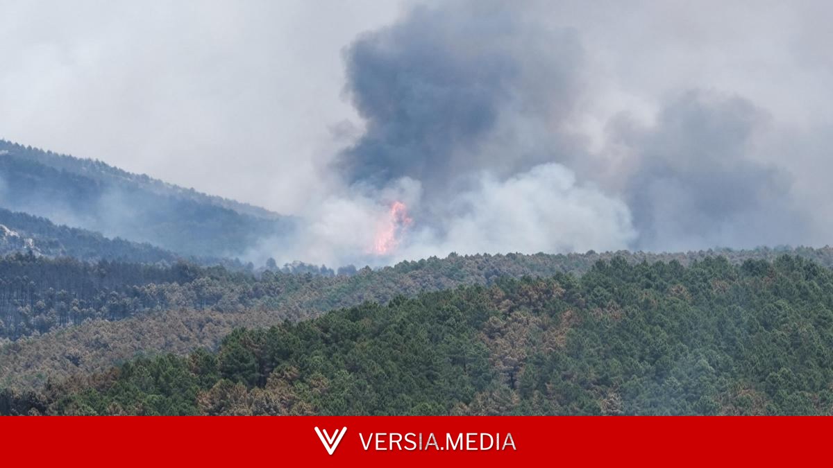 El fuego de Guadalajara supera las 12.000 hectáreas quemadas y 700 evacuados en 16 municipios
