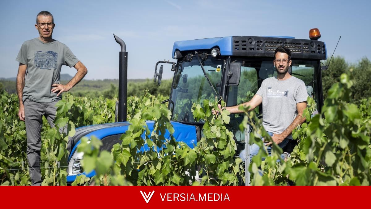 Los viticultores buscan soluciones a la falta de relevo generacional
