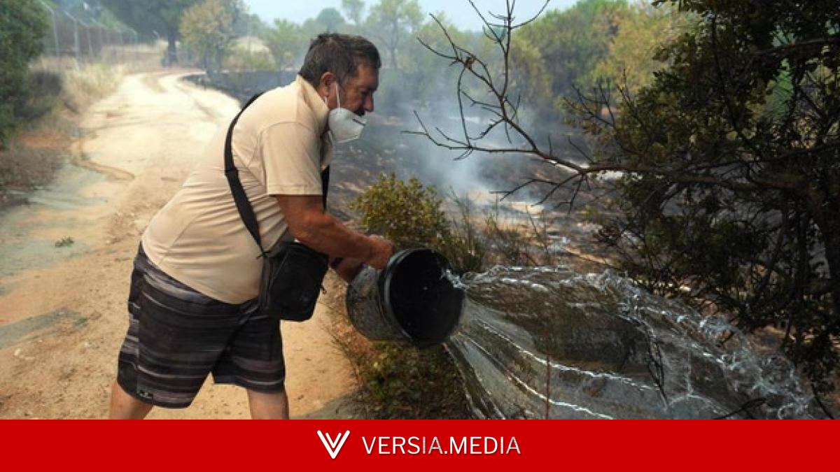 Ligero optimismo por la evolución del fuego en Madrid, Ávila y Toledo