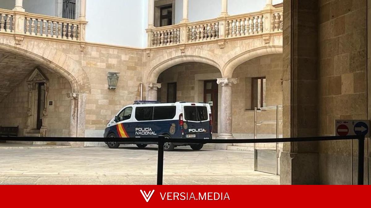 Detenido un joven en Palma por abusar sexualmente de su hermano de tres años